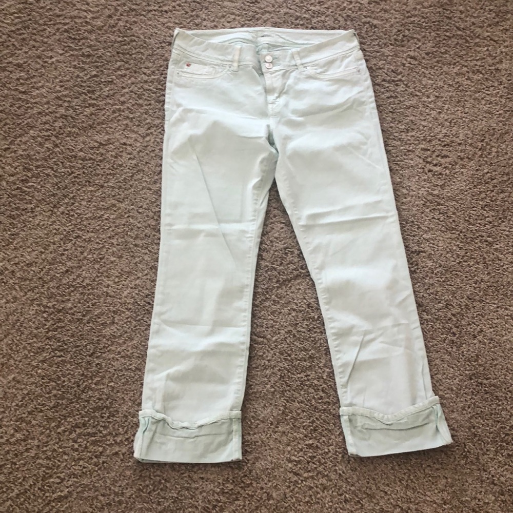 Light green Hudson cropped pants